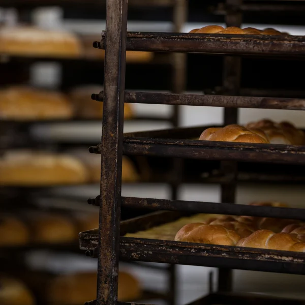 Professional Oven for Your Bakery: Which One to Buy? 2 A professional oven rack filled with various types of freshly baked bread.